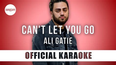 ali gatie can t let you go official karaoke instrumental songjam youtube