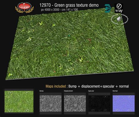 Seamless Grass Texture Map