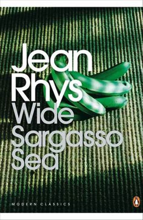 Wide Sargasso Sea Penguin Books And Jean Rhys 9780141185422 Boeken
