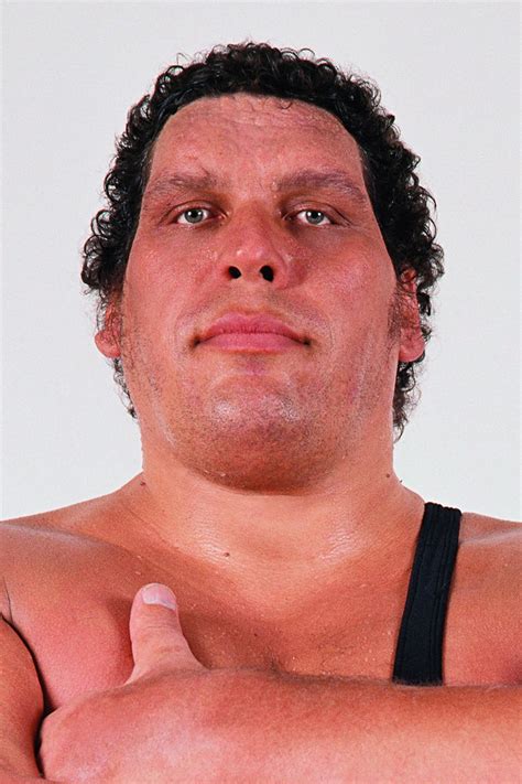 He was associated with the 'world wrestling federation' (wwf), for many years before he passed away due to heart failure. André the Giant - Profile Images — The Movie Database (TMDb)