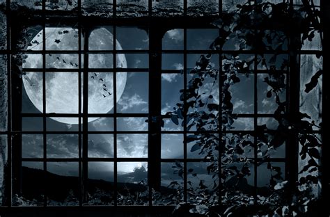 Look Window A Moon Wallpapers Hd Desktop And Mobile