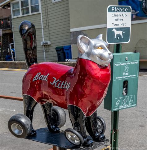 Maybe you would like to learn more about one of these? The 2019 Cats of Catskill, New York - Part 7 | Catskill ...