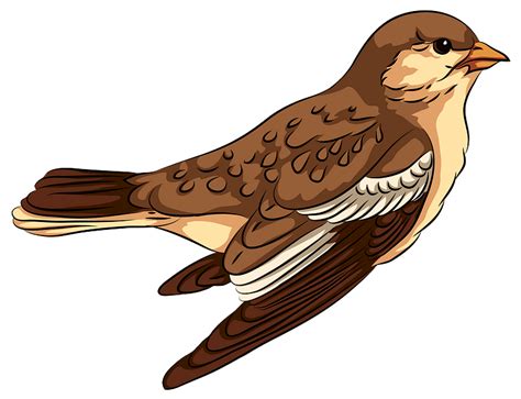 Flying Sparrow Clipart