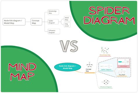 Are Spider Diagrams The Same As Mind Maps Diagrams Explained