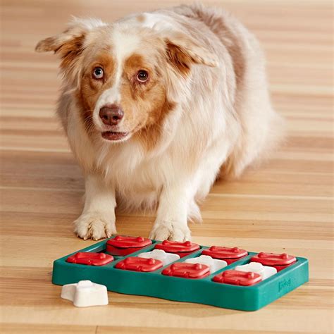 Nina Ottosson Puzzle Dog Toy Brick Baxterboo