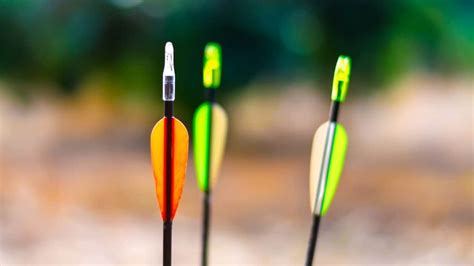 10 Best Carbon Arrows For Hunting Buyers Guide Outdoor Troop