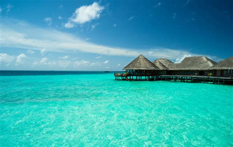 Download Maldives Turquoise Beach Water Wallpaper