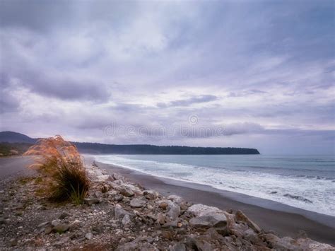 Windswept Beach At Bruce Bay At Sunset In New Zealand Stock Image