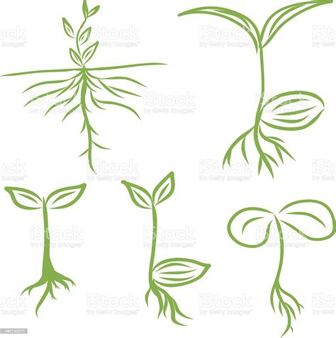 Hand Draw Sprouts Plants Seeding Vector Illustrations Eps10 Stock