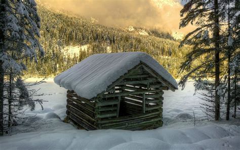 Wooden Hut In The Snowy Forest 19008 Hd Wallpaper
