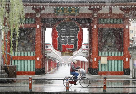 Tokyo Får Sne I November For Første Gang I 54 år Animeguiden