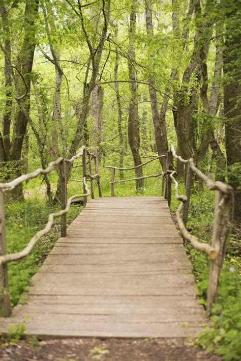 Wooden Bridge In A Forest Wooden Walkway In Green Forest Near The