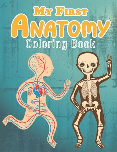 My First Anatomy Coloring Book Anatomy Coloring Book For Kids Human