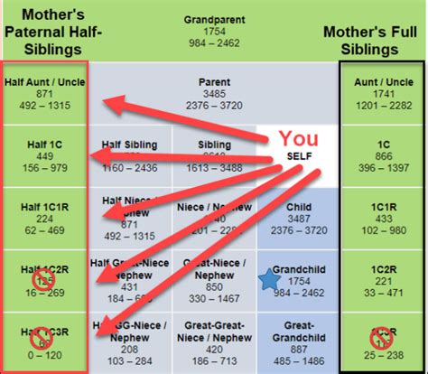 Dna In Search Ofyour Grandparents Dnaexplained Genetic Genealogy