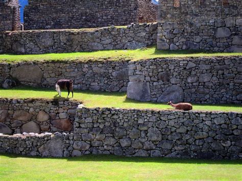 Visiting Machu Picchu The Complete Guide Selina