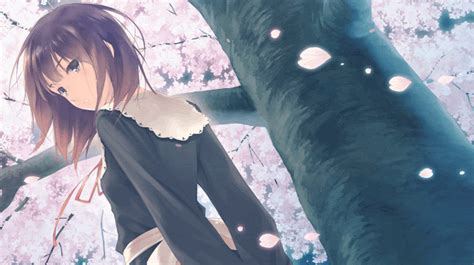 Submitted 1 month ago by lolzimop. Wallpaper Engine Flowers Mayuri Wallpaper Live Download ...