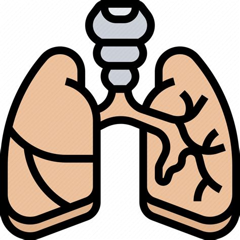 Lungs Bronchial Respiratory Pulmonary Body Icon Download On