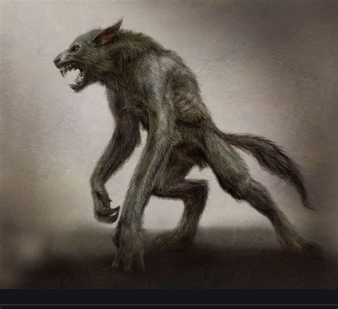 The Werewolves Of Coita Chiapas Mexico Unexplained