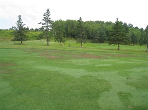 Using Fine Fescue As A Solution To Fairway Dry Spots At Northland