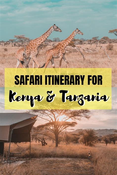 Our African Journey 7 Day Safari In Kenya And Tanzania 5 Parks In 7
