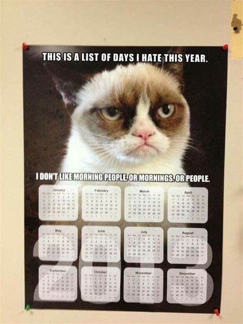 Funny Calendar Quotes