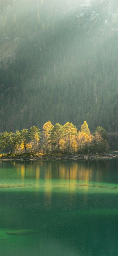 Trees Surrounded By Body Water During Daytime Iphone X Wallpapers Free