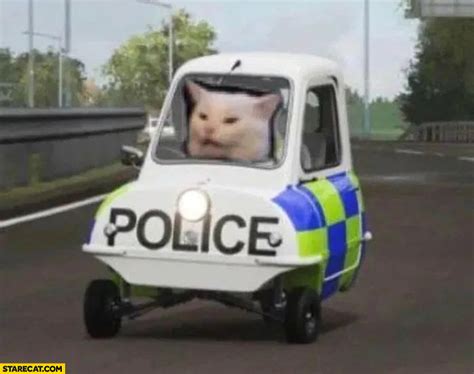 Cat Guards Over Person Being Arrested Rinteresting