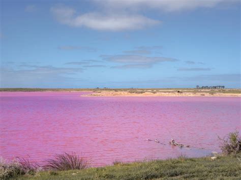 Pink Lakes South Australia The Green Adventurers
