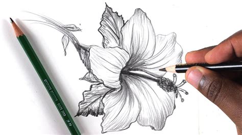 How To Draw A Flower Step By Step In 10 Minutes Youtube