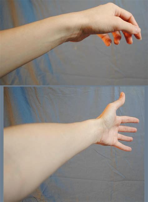 Arms Foreshortened Reach By Piratelotus Stock On Deviantart Hand