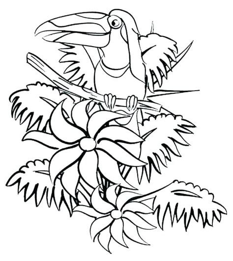 Colouring Pages Rainforest Animals Jungle Coloring Pages Coloring
