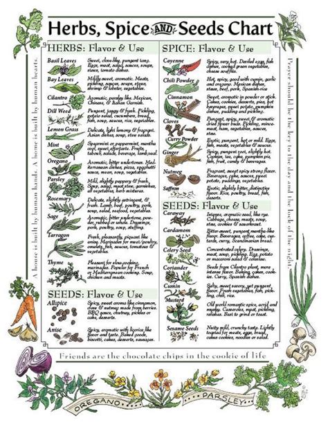 The Best Herbs Plants Chart Ideas Herb Garden Planter