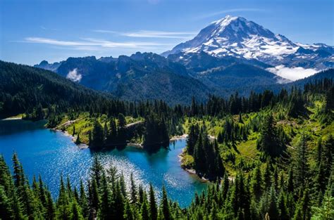 We did not find results for: Mt. Rainier and Olympic National Parks: Washington's ...