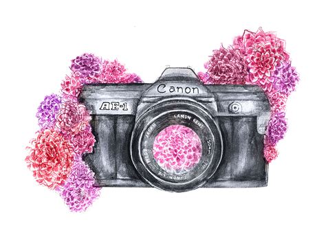 Download #watercolor #camera #illustration #flowers | Dessin chouette, Pixel art, Croquis