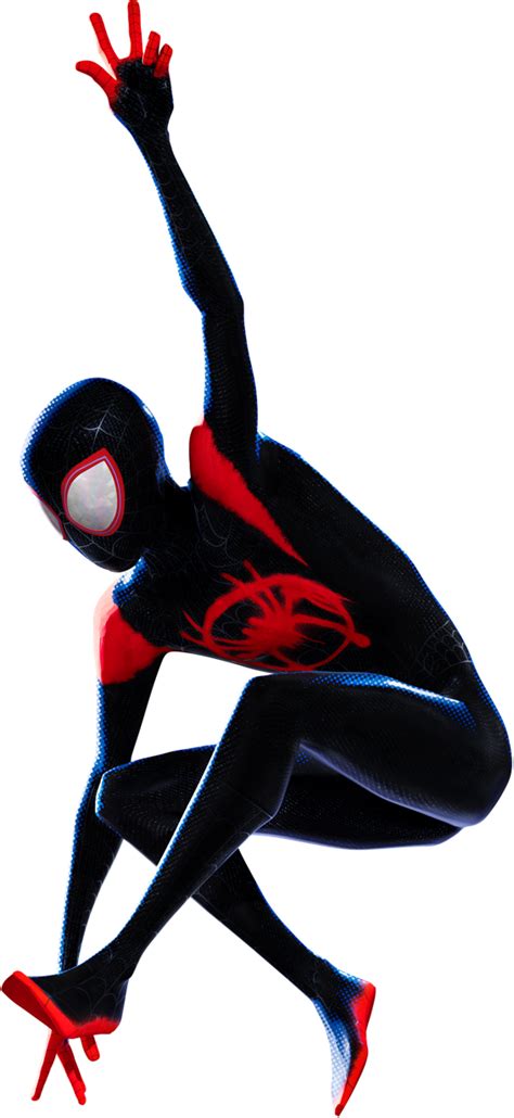 Download Spiderman Into The Spiderverse Png Spider Man Into The