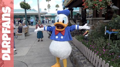 Donald Duck Disneyland