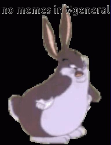 Chungus Discord Chungus Discord Discord Admin Descubre Y