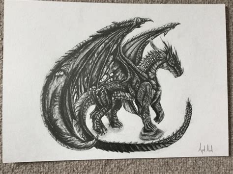 We will initially outline its physique with the. Time lapse drawing - Realistic Dragon - YouTube