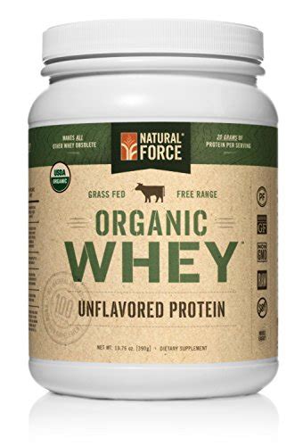 Whey Protein Powder Without Artificial Sweeteners