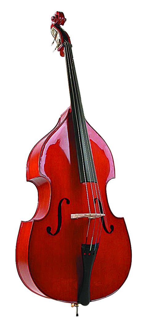 Fender Precision Bass Double Bass Cello Violin Viola Cola Png