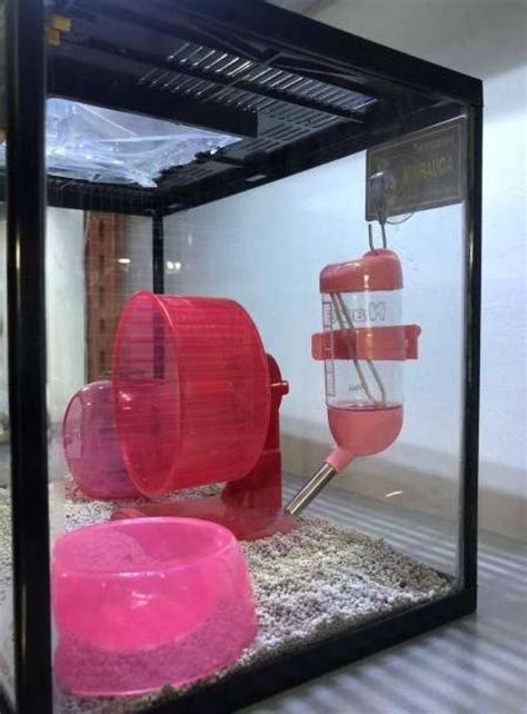 Promo Terarium Kandang Hamster Aquarium Fullset Medium Kandang Hamster Unik Diskon Di Seller
