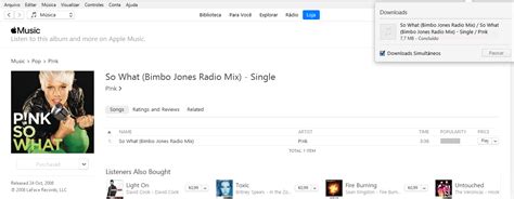 P Nk So What Bimbo Jones Radio Mix Single ITunes Plus M4A ITD