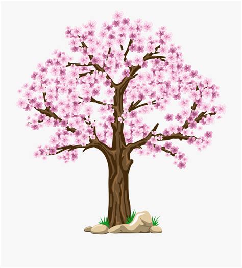 Images Cherry Blossom Clip Art Digital Pink Tree Clipart Cherry