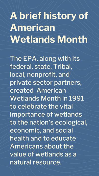 American Wetlands Month Spotlighting The Significant Role Wetlands