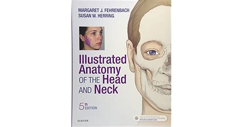 Illustrated Anatomy Of The Head And Neck By Margaret J Fehrenbach