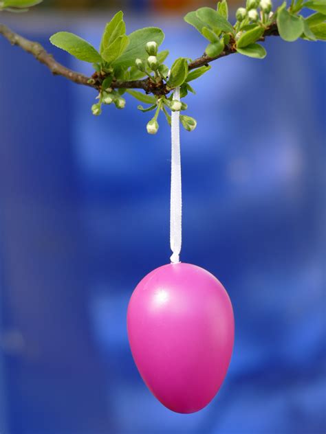 Check spelling or type a new query. Free Images : branch, flower, food, spring, produce, color ...