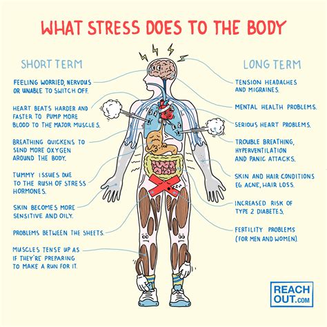 What Stress Does To The Body Reachout Australia