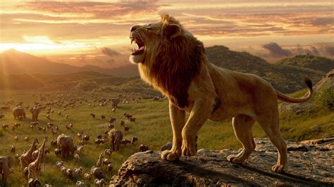 1920x1080 Resolution Lion From The Lion King 1080p Laptop Full Hd