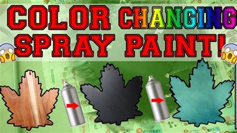 Cool Spray Paint Ideas That Will Save You A Ton Of Money Chameleon