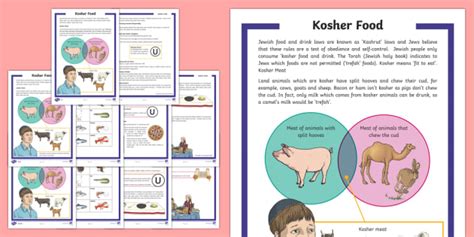 Kosher Food Differentiated Fact File